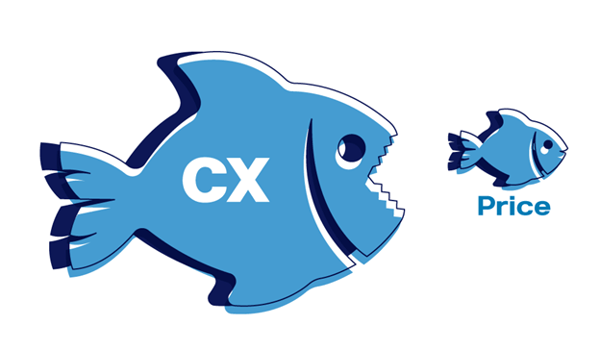 Illustration of fish showing importance of CX over price in driving customer satisfaction.